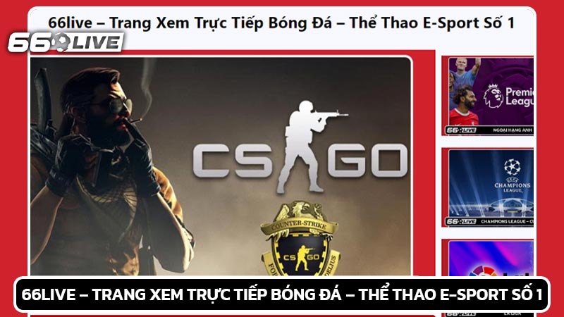 66live – Trang Xem Trực Tiếp Bóng Đá – Thể Thao E-Sport Số 1