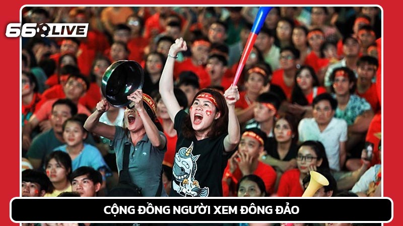 Cộng đồng người xem 66live đông đảo