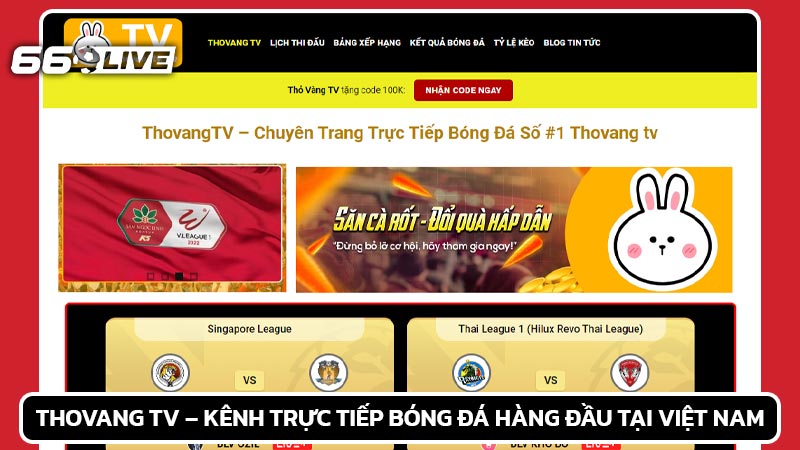 Thovang TV – Kênh trực tiếp bóng đá hàng đầu tại Việt Nam